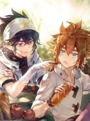 深入了解 糖心官网入口